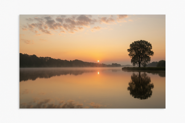 Card Stock (20"x15")